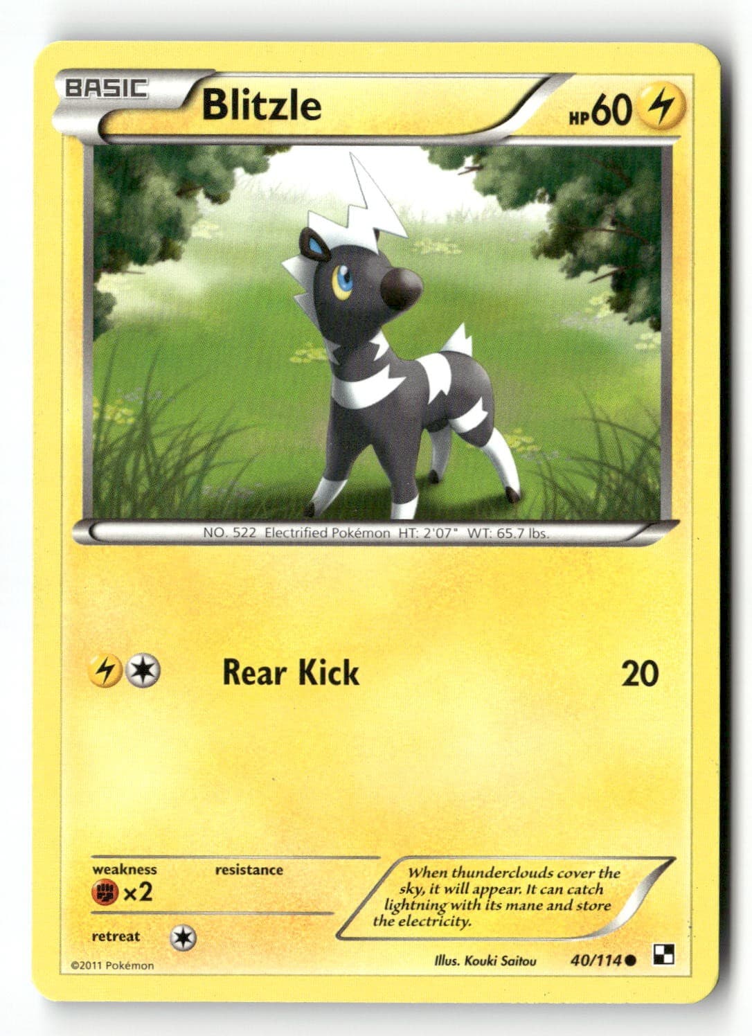 Blitzle 40/114 Common Black & White Pokemon Lightly Played
