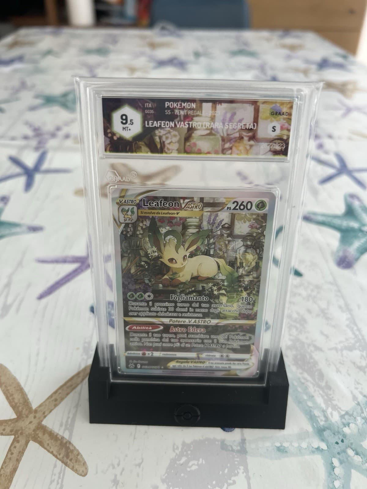 Leafeon Vastro Zenit Regale Graad 9,5