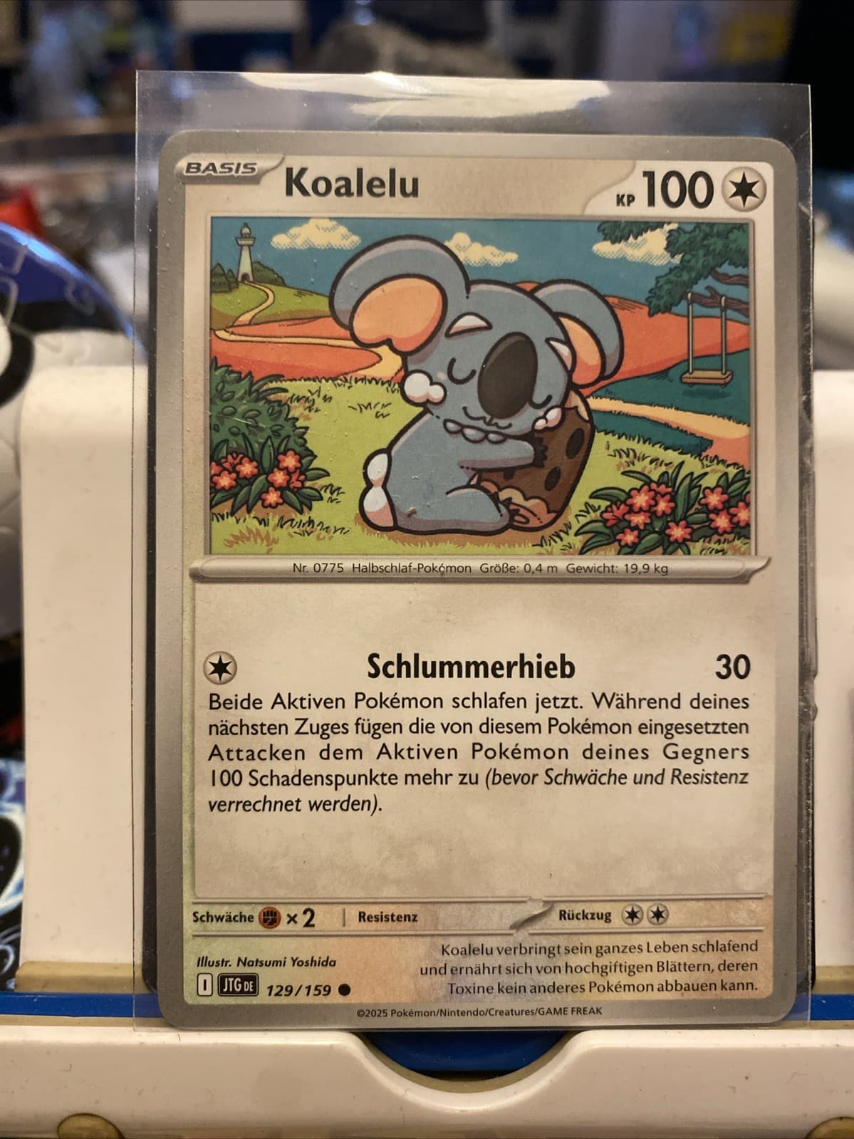 Koalelu 129/159 Reisegefährten | Pokémon Karte Boosterfrisch MINT