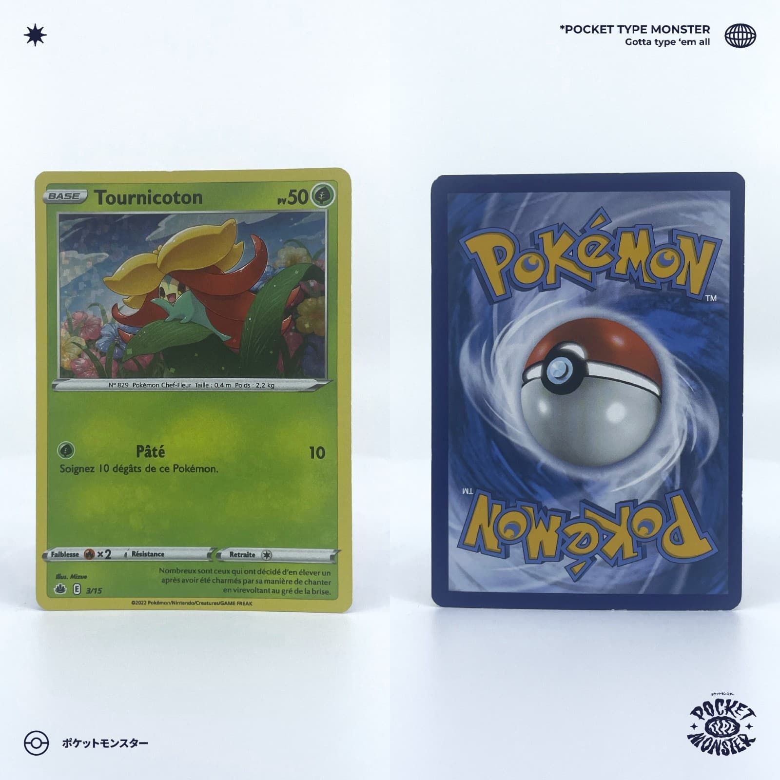 TOURNICOTON 3/15 McDonald's Promo HOLO M22 VF FR Carte Pokémon