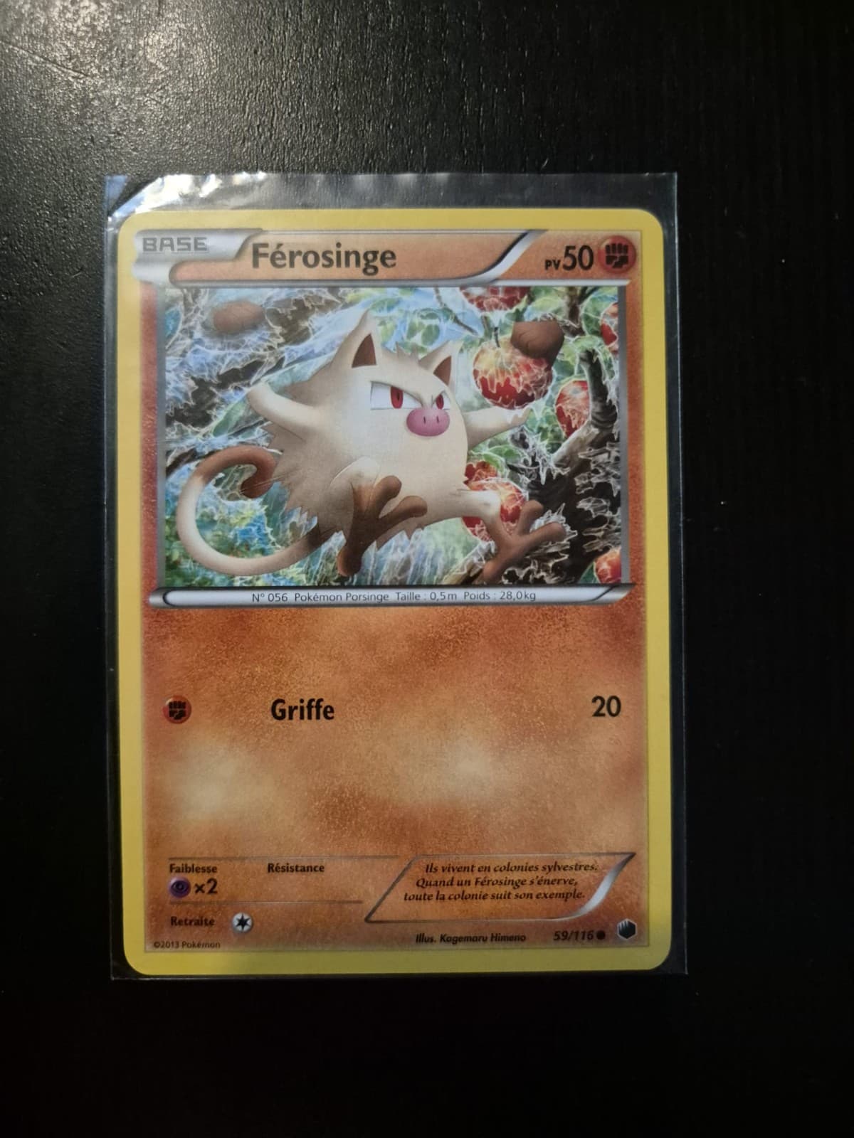 Pokémon Férosinge 59/116 Glaciation Plasma FR 2013