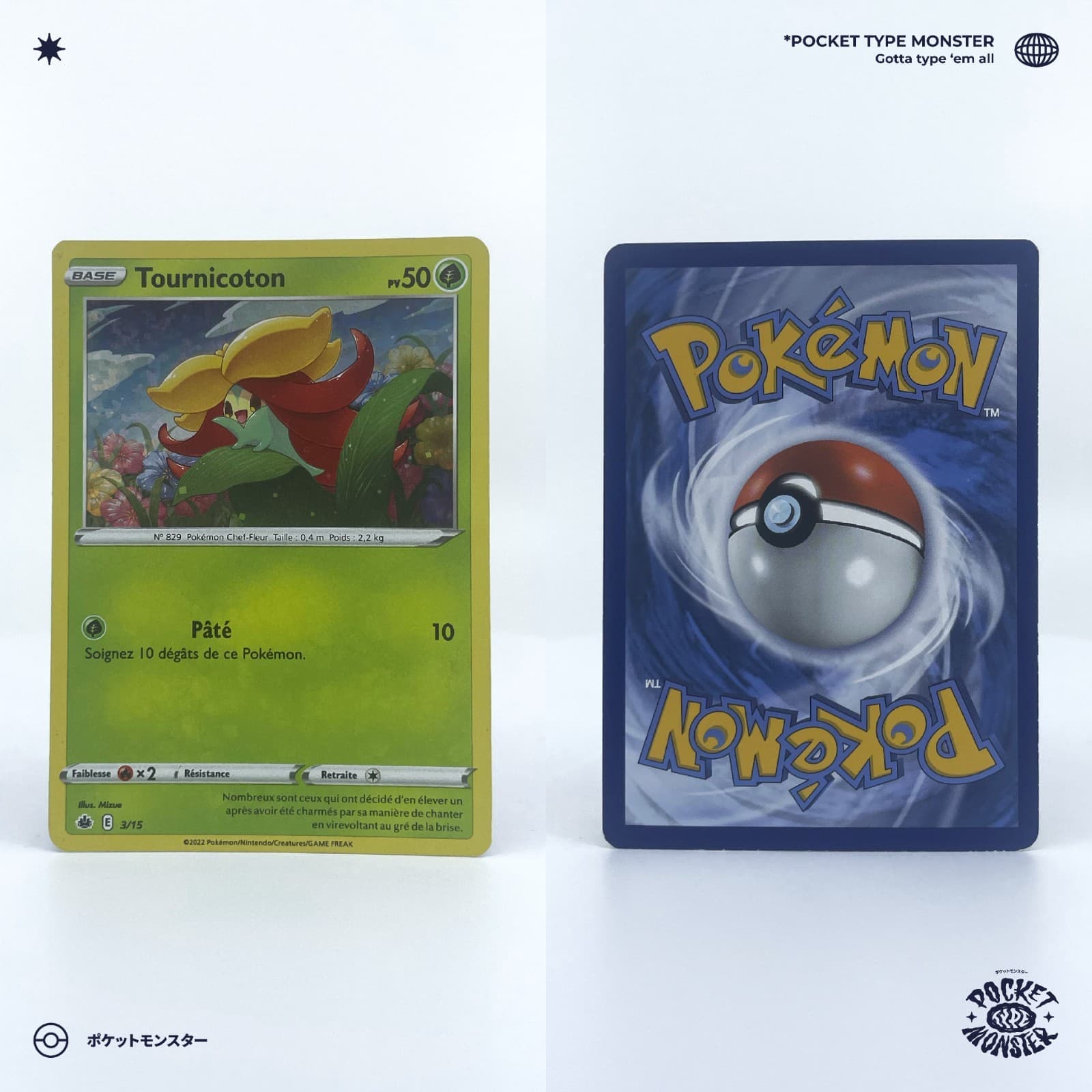 TOURNICOTON 3/15 McDonald's Promo HOLO M22 VF FR Carte Pokémon