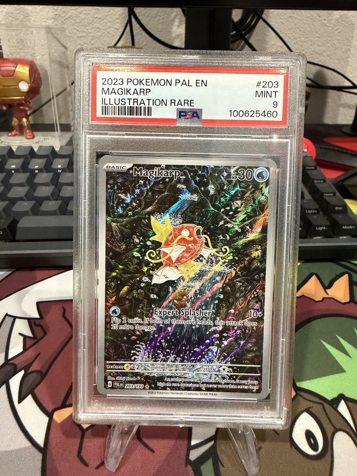 Pokemon Magikarp 203/193 SV02 Paldea Evolved Illus Rare Holo EN PSA 9