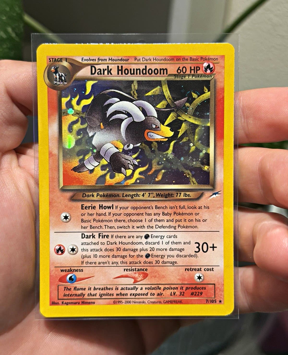Dark Houndoom 7/105 Neo Destiny Holo Rare Unlimited NM
