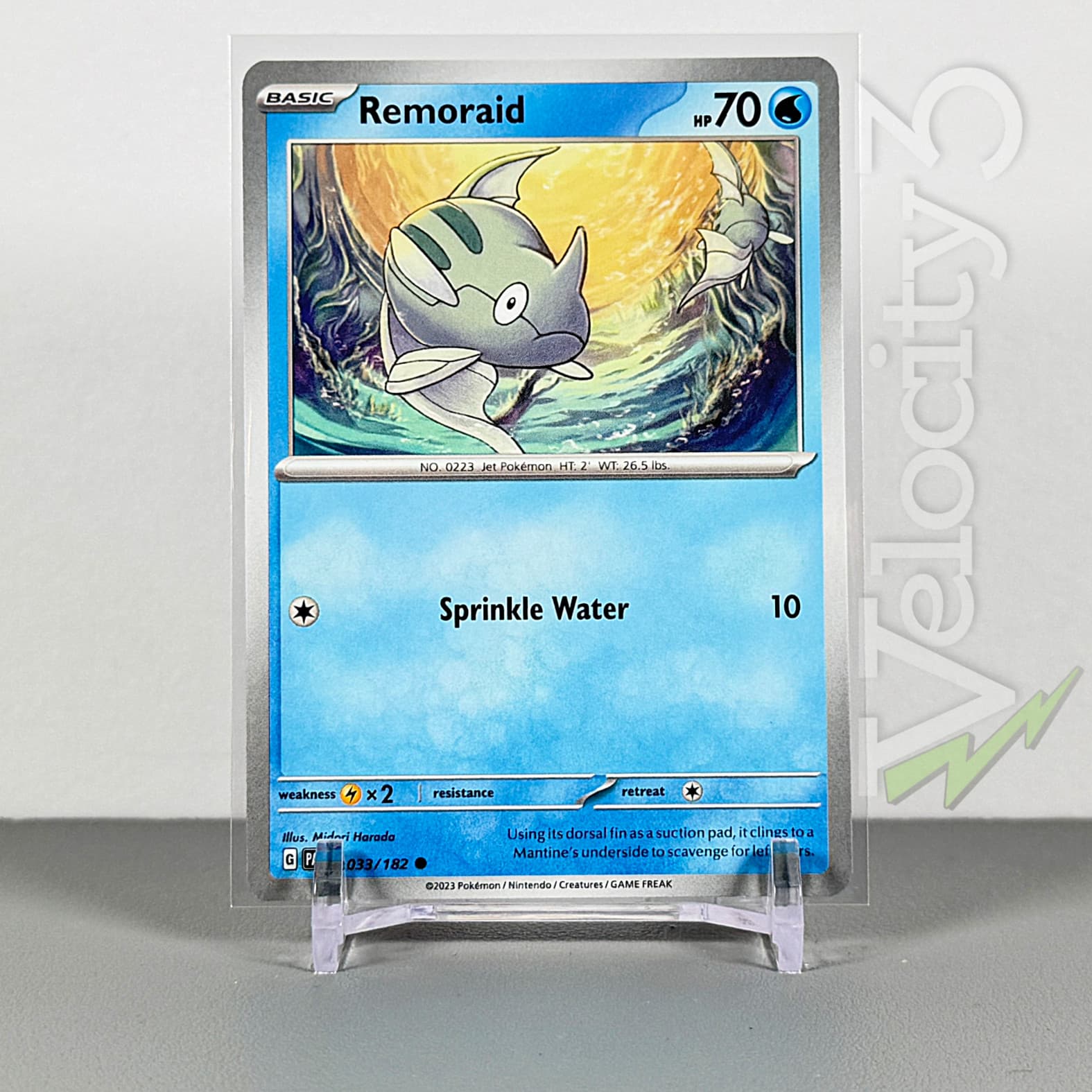 Pokemon TCG Card - Remoraid 33/182 Common | 2023 Paradox Rift | NM/Mint