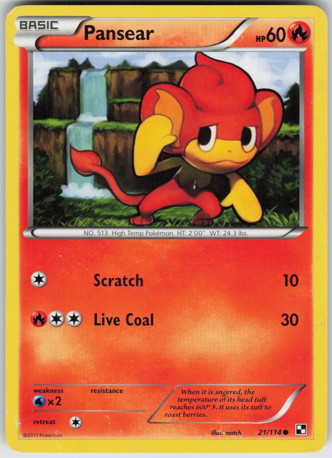 Pansear Black and White [BLW - 21/114] Pokemon MP