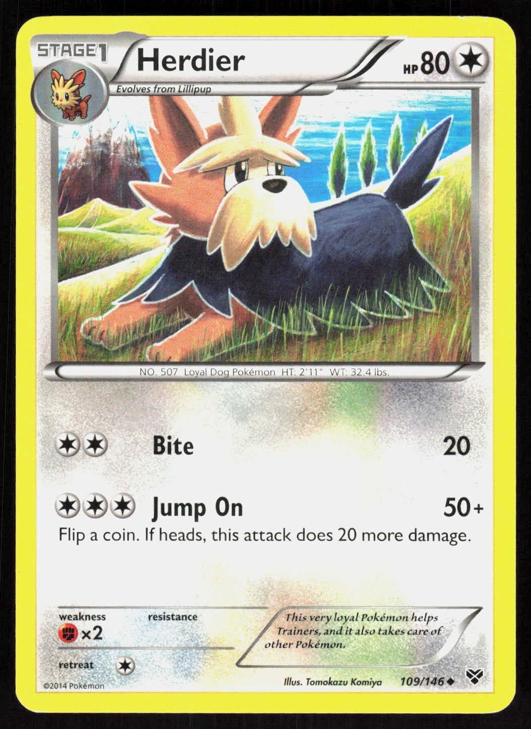 Herdier 109/146 Uncommon XY Base Set Pokemon EN Lightly Played