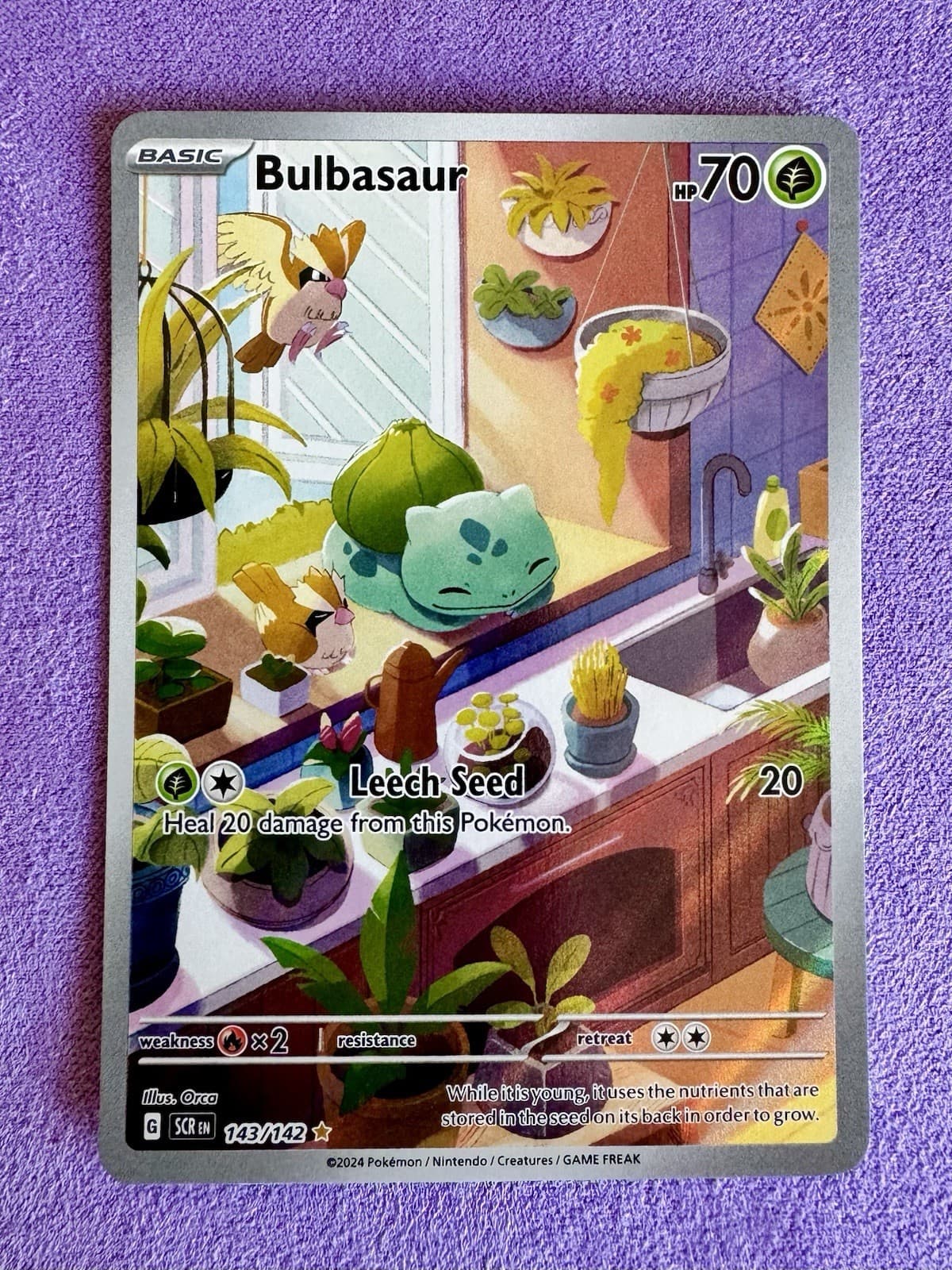 Pokemon 2024 SV07 Stellar Crown Bulbasaur 143/142 Illustration Rare Holo English