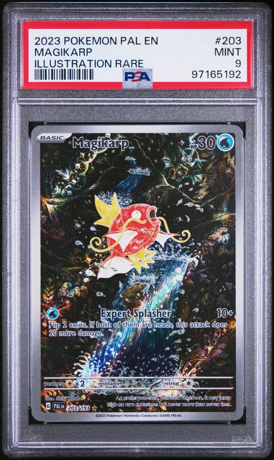 Pokemon Magikarp 203/193 - PSA 9 - Sv02: Paldea Evolved Holo Illustration Rare