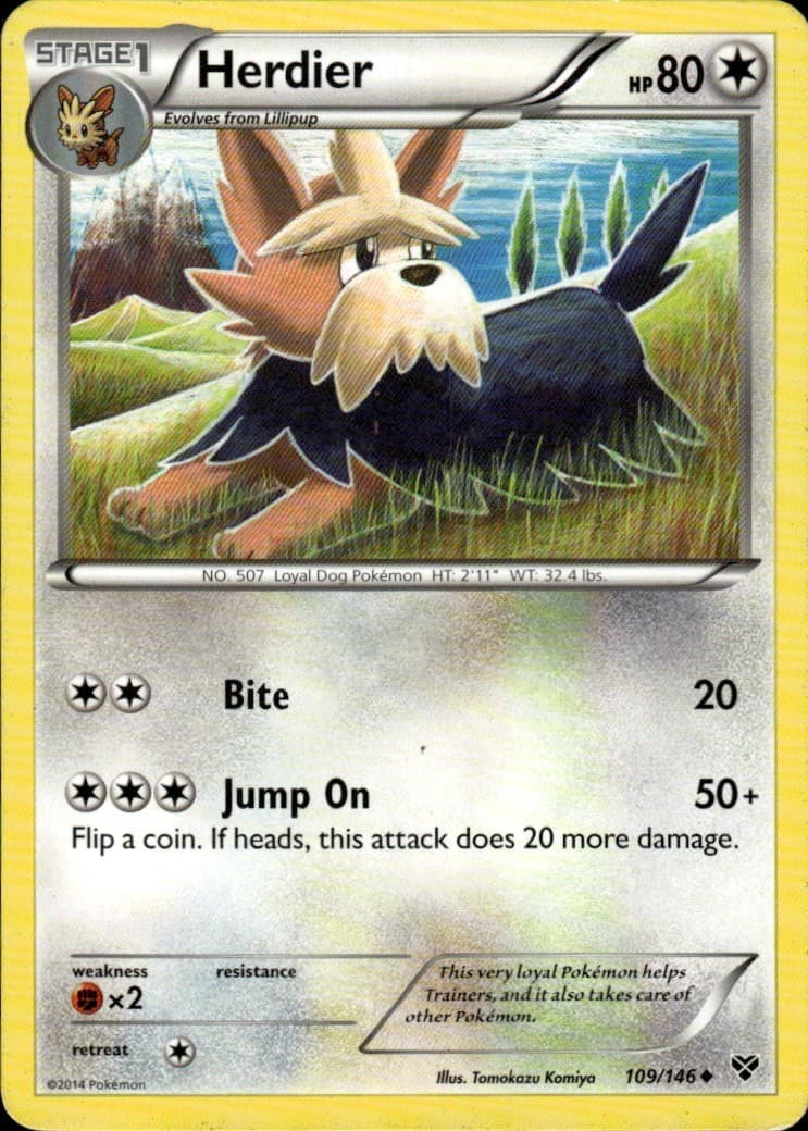 Herdier 109/146 Uncommon XY Pokemon Moderately Played