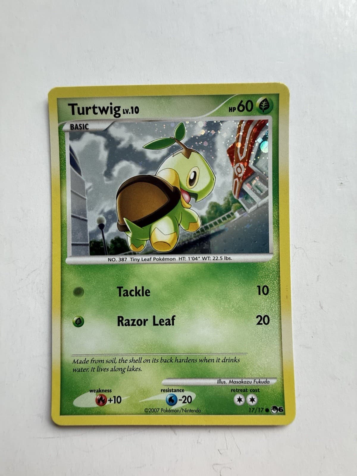 Pokemon Turtwig 17/17 Common POP Series 6 Pokemon Holo Wotc