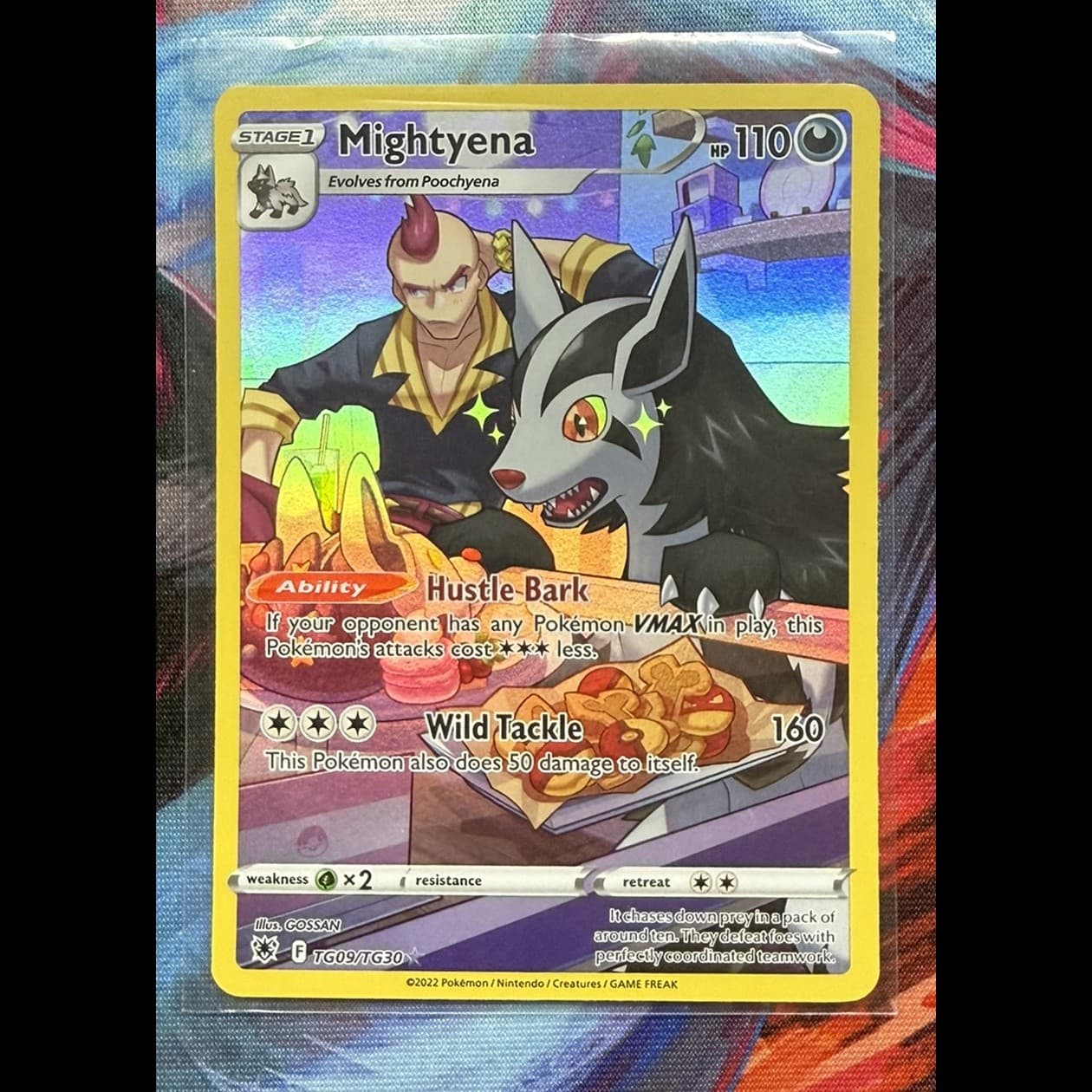 Mightyena Astral Radiance Trainer Gallery TG09/TG30 Holo Pokemon NM