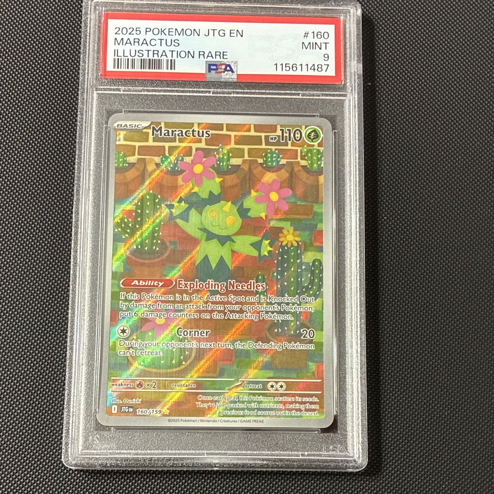 Maractus 160/159 SV09 Journey Together Illustration Rare Holo EN PSA 9 2025