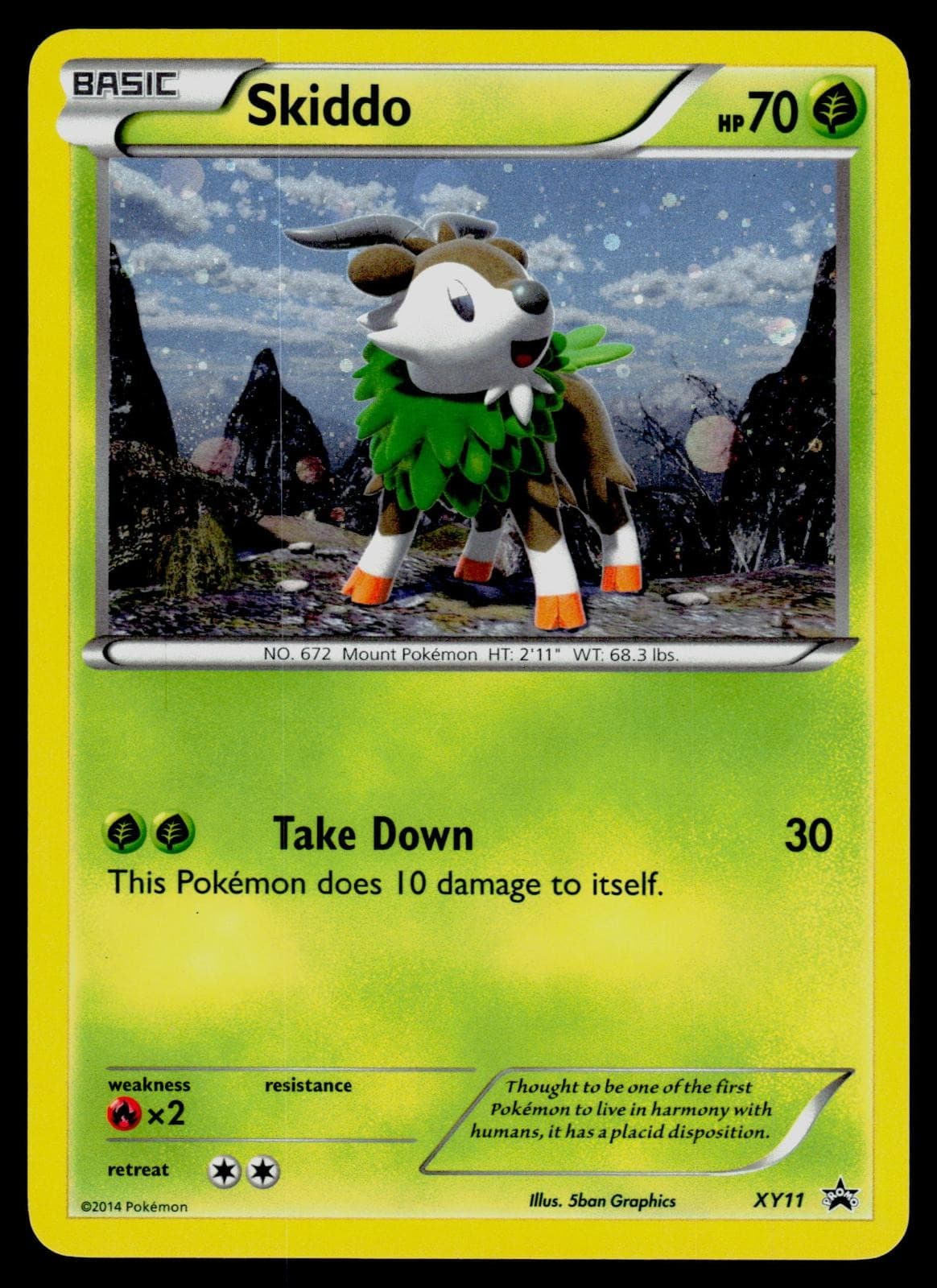 Skiddo XY11 Holo Promo XY Promo Pokemon Lightly Played