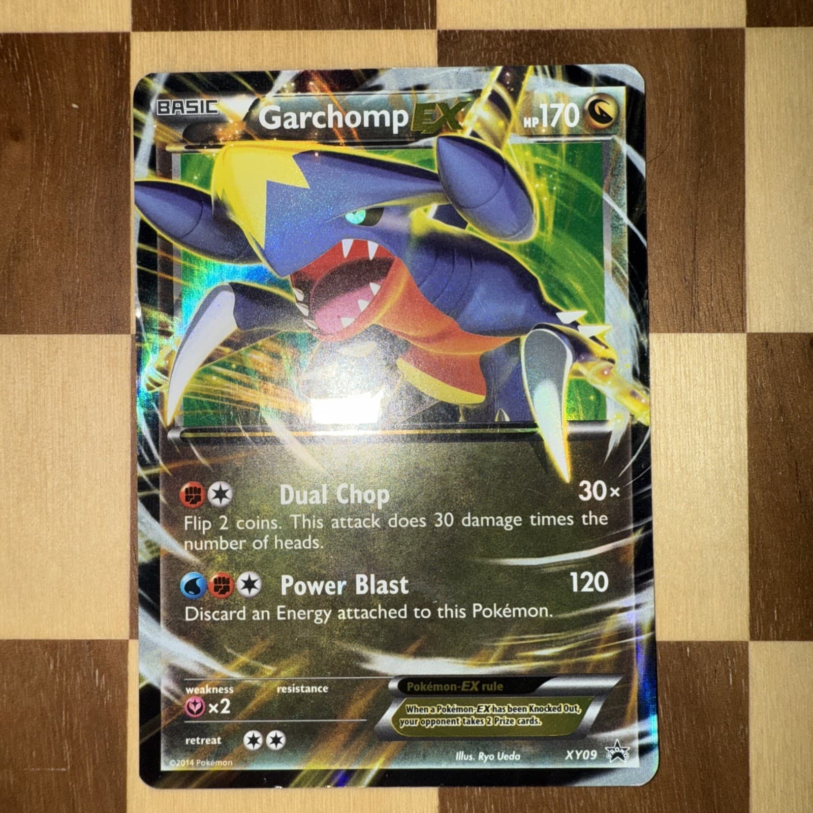 Pokémon Garchomp EX TCG Black Star Promo Holo Card XY09