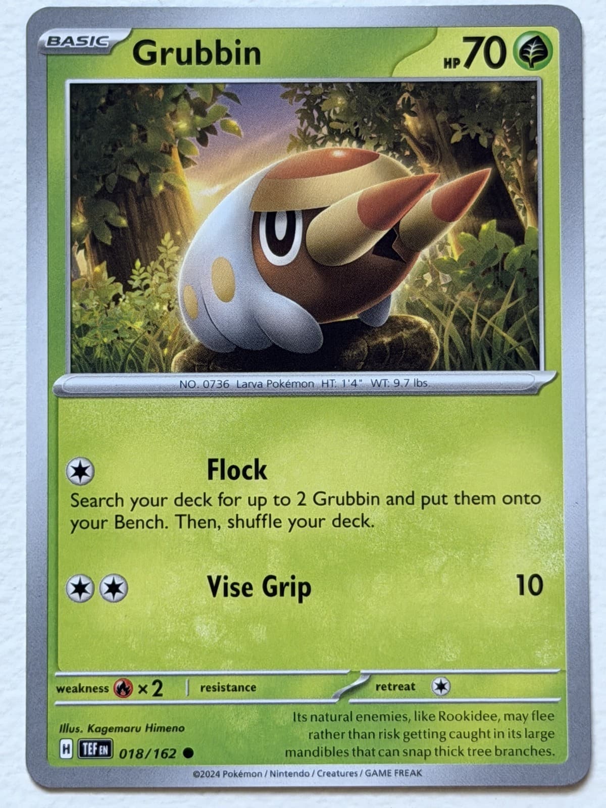 Grubbin 18/162 Temporal Forces Common Near Mint Pokemon