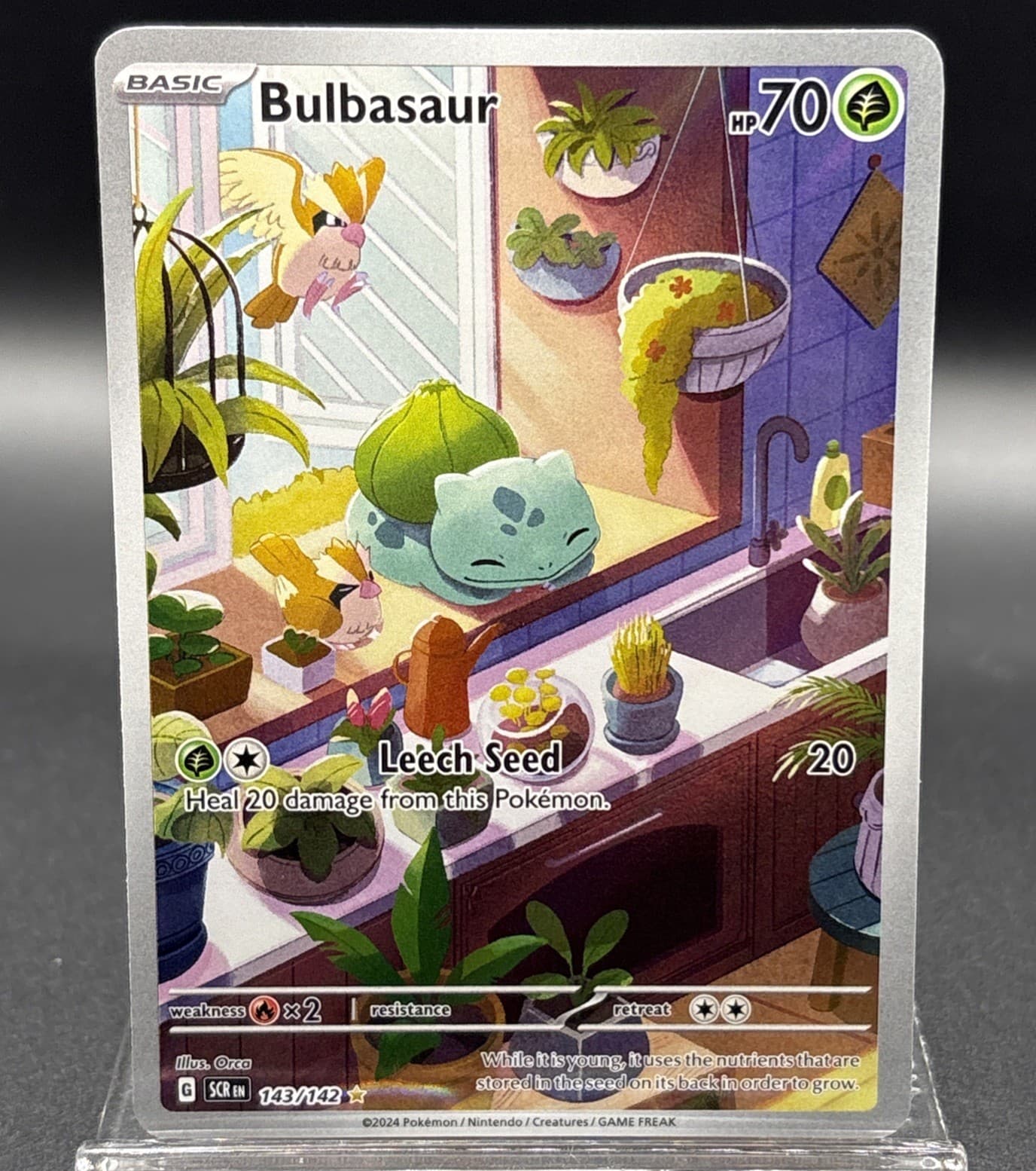 Pokemon Bulbasaur Illustration Rare 143/142 Sv07 Stellar Crown Holo