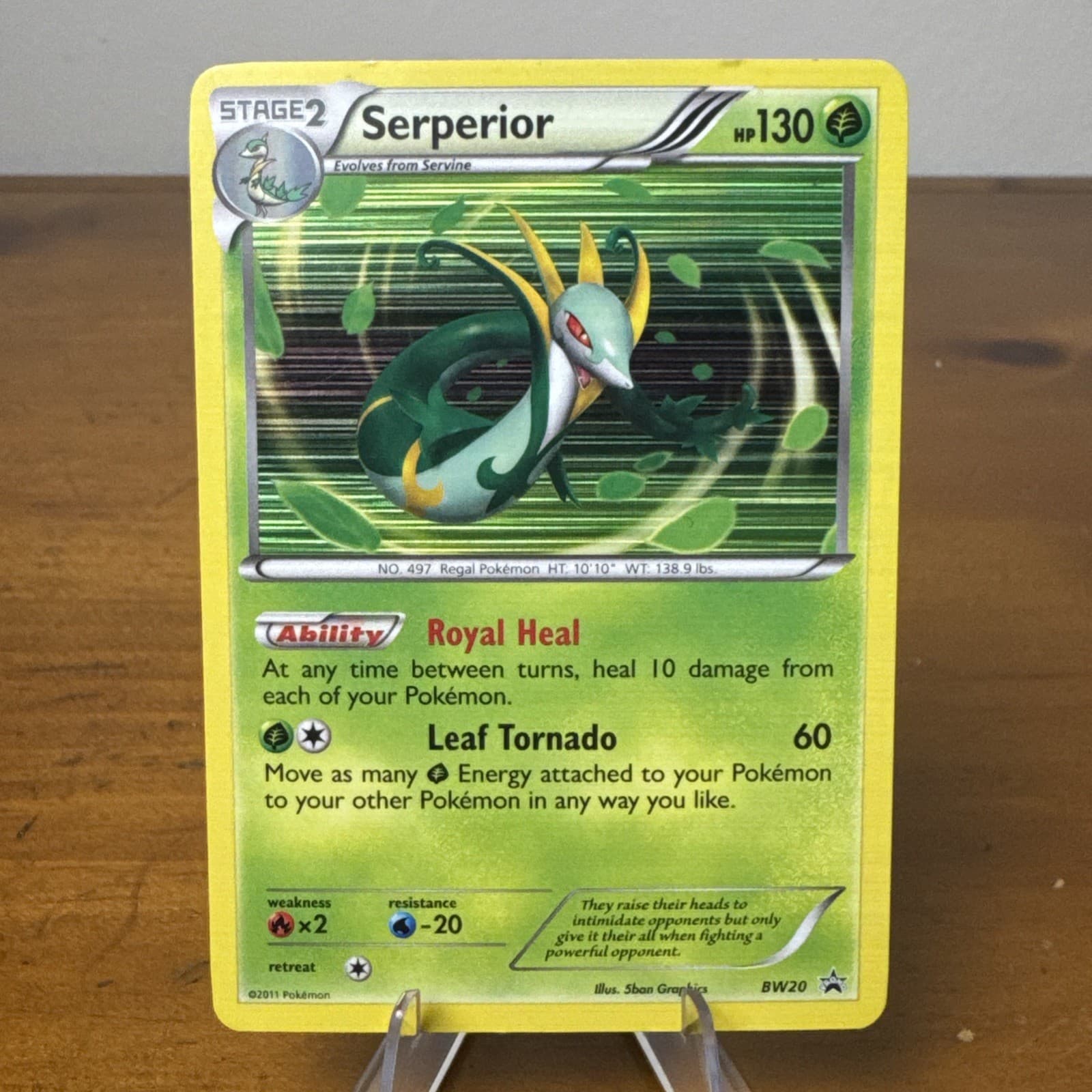2011 Pokemon BW Black Star Promos Serperior #BW20