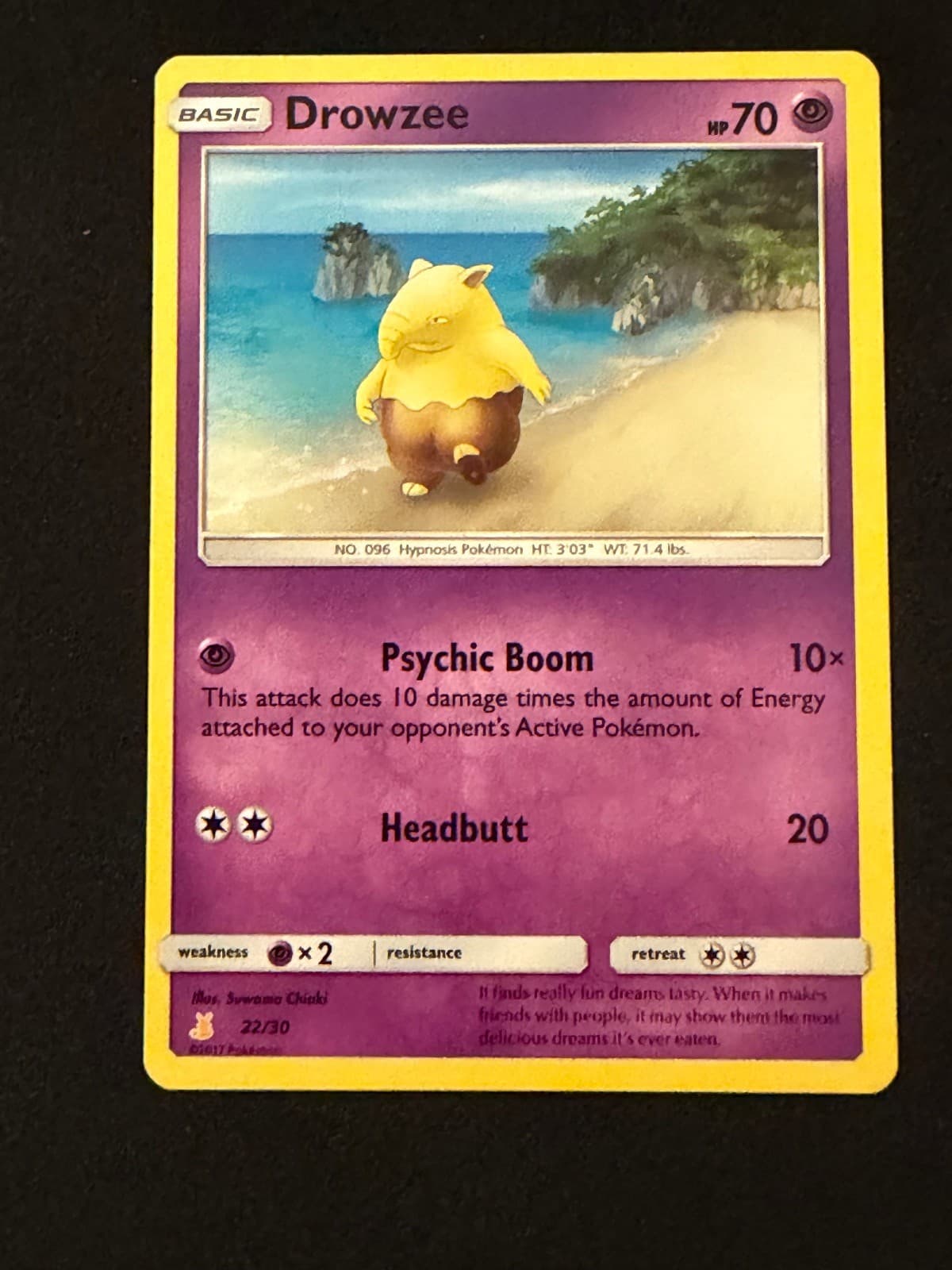 Drowzee 22/30 Common SM Trainer Kit: Lycanroc & Alolan Raichu Pokemon Near Mint