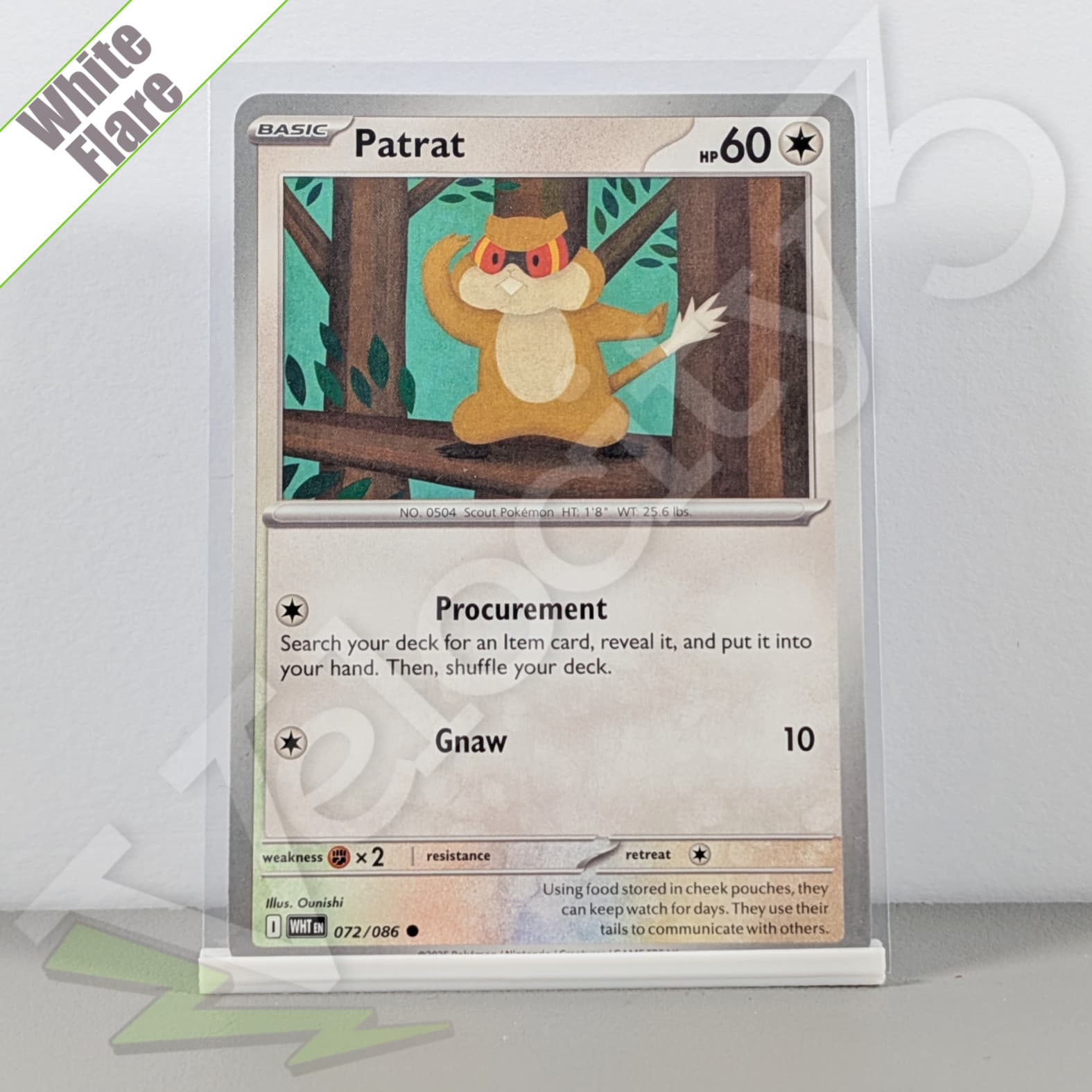 Pokemon TCG Card - Patrat 72/86 Common | White Flare (2025) WHT