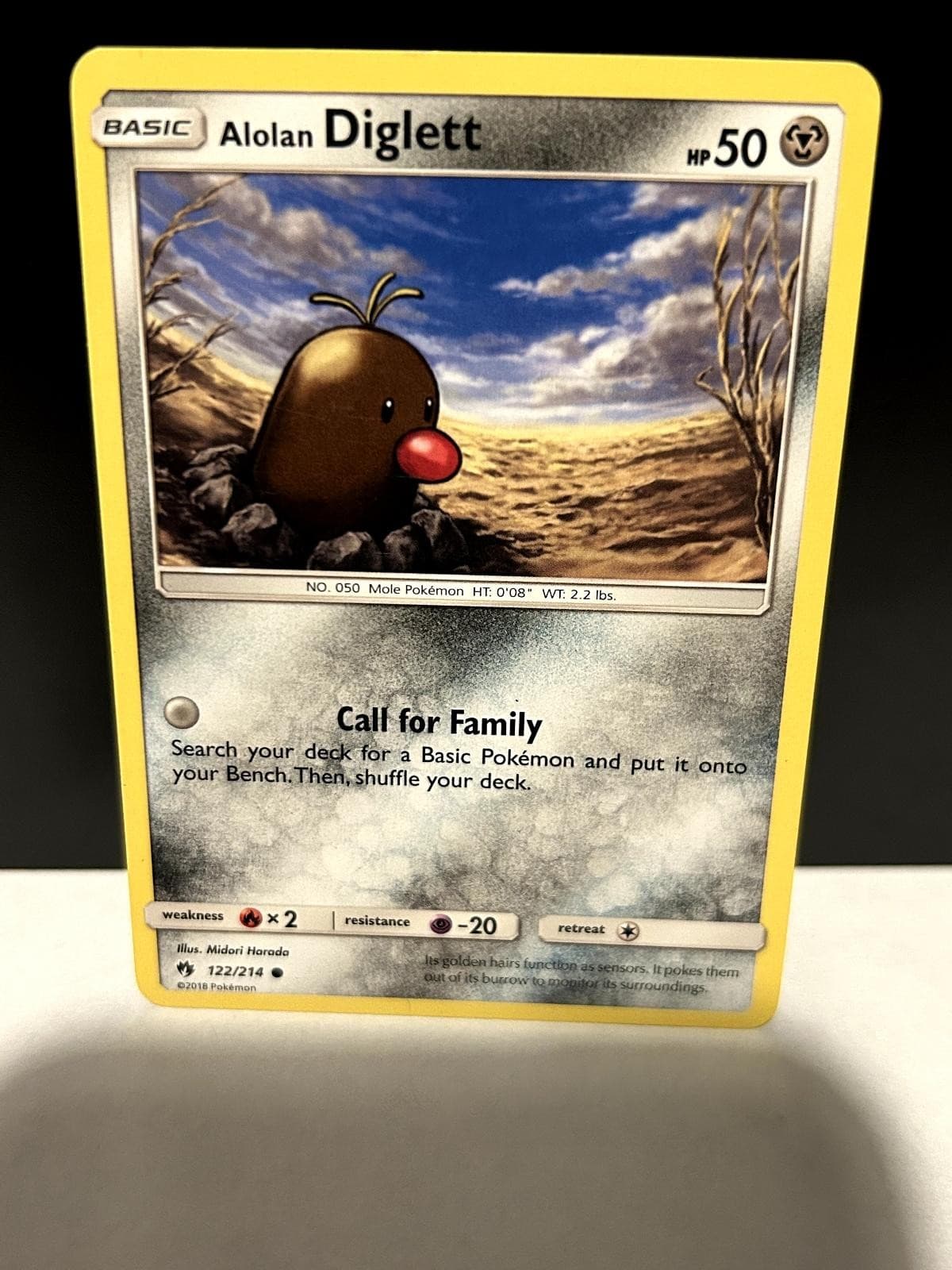 Alolan Diglett 122/214 Common Lost Thunder Pokemon Lightly Played