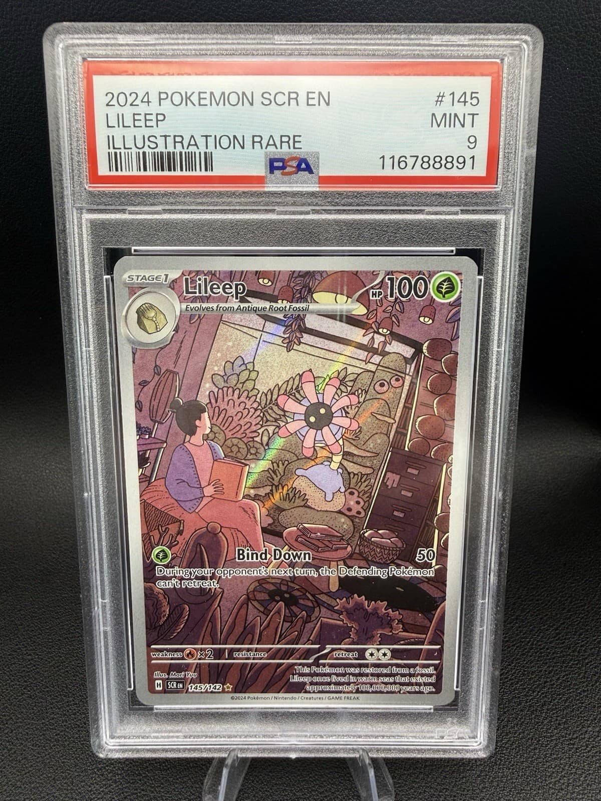 2024 Pokemon TCG Stellar Crown Lileep 145/142 Illustration Rare PSA 9