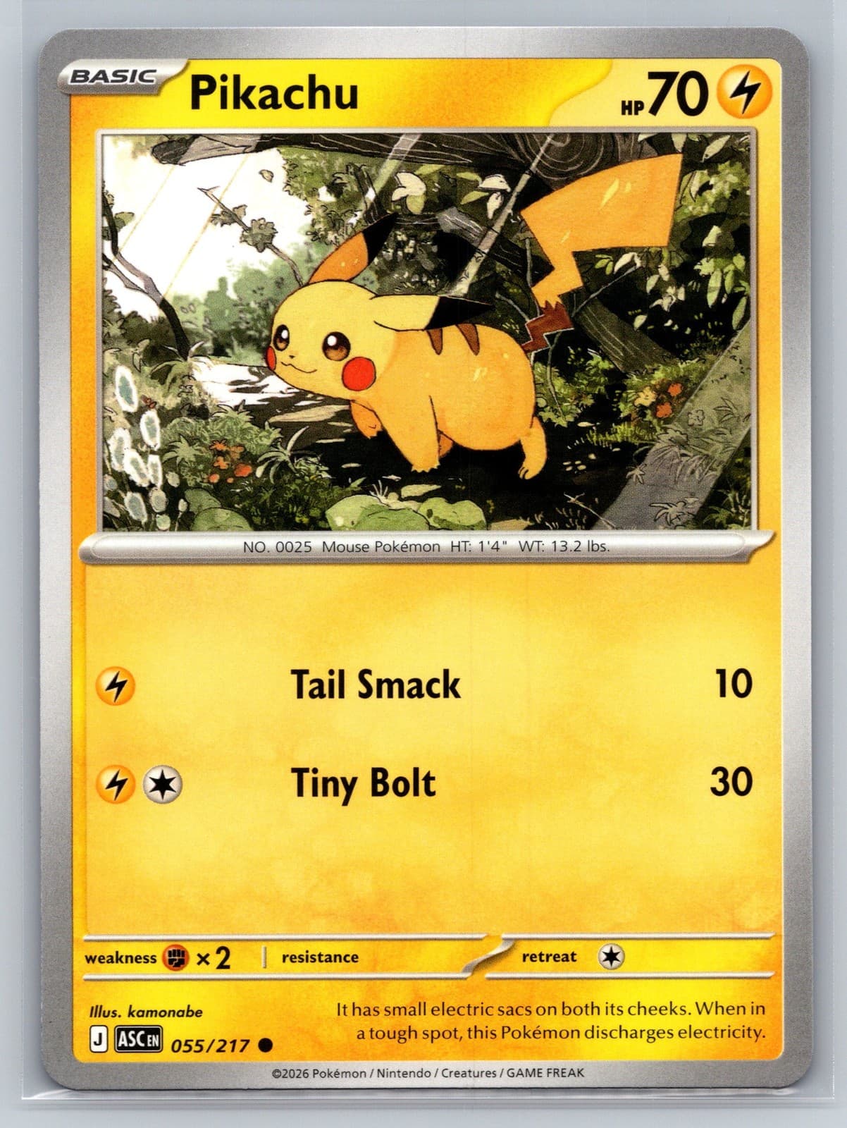 Pikachu Ascended Heroes 055/217 Common Pokémon — English Near Mint