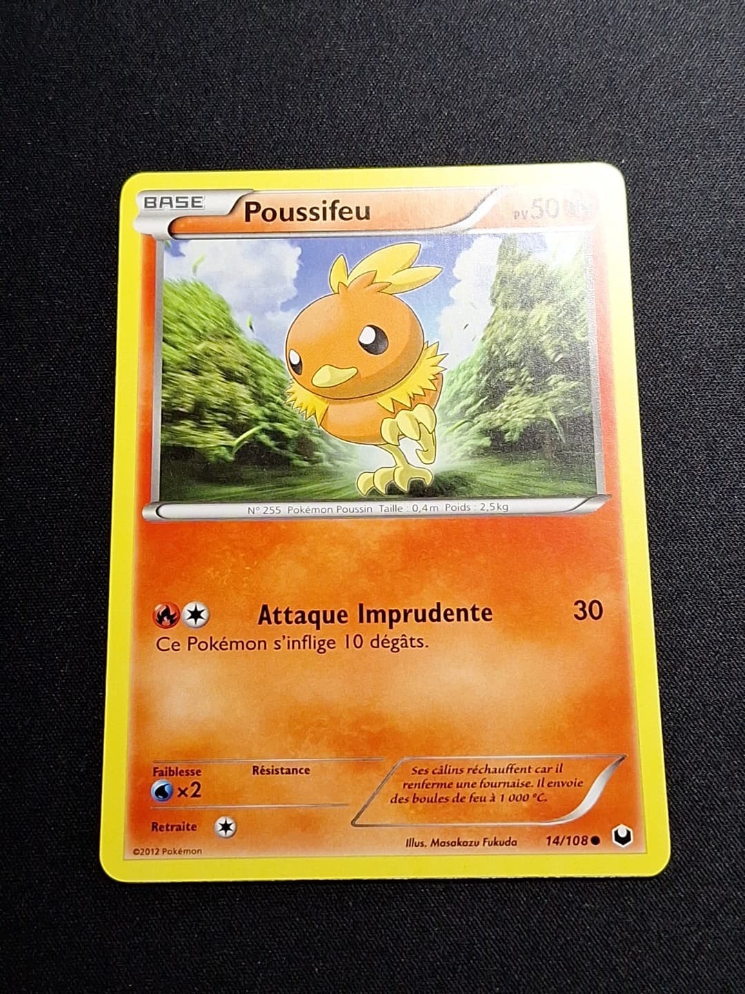 EXC NM Poussifeu 14/108 NB Explorateurs Obscurs Carte Pokémon FR