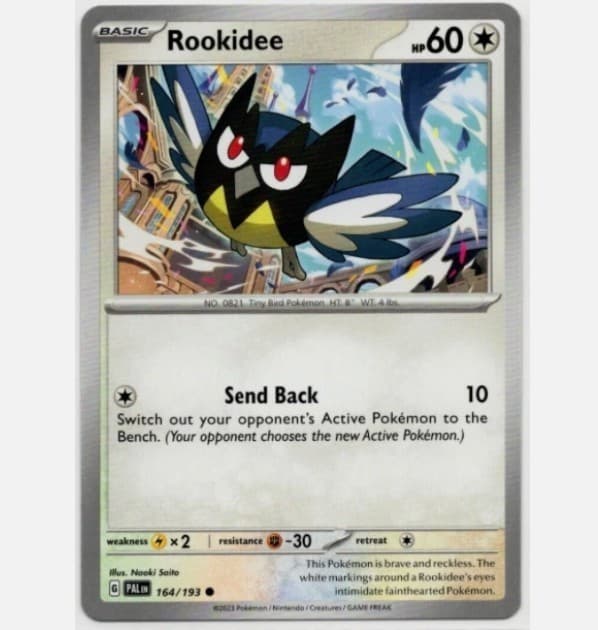 Pokemon - Rookidee - 164/193 - Paldea Evolved - NM/M