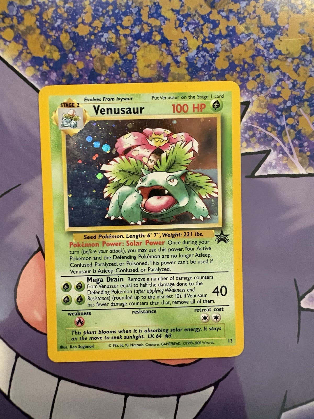 Venusaur Promo #13 Black Star Pokemon Card Rare Holo MP-HP