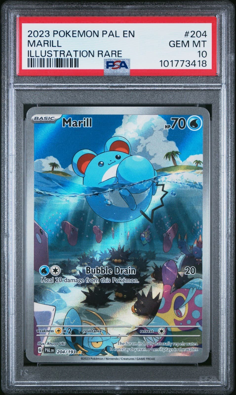 PSA 10 MARILL PALDEA EVOLVED ILLUSTRATION RARE #204 (3418)