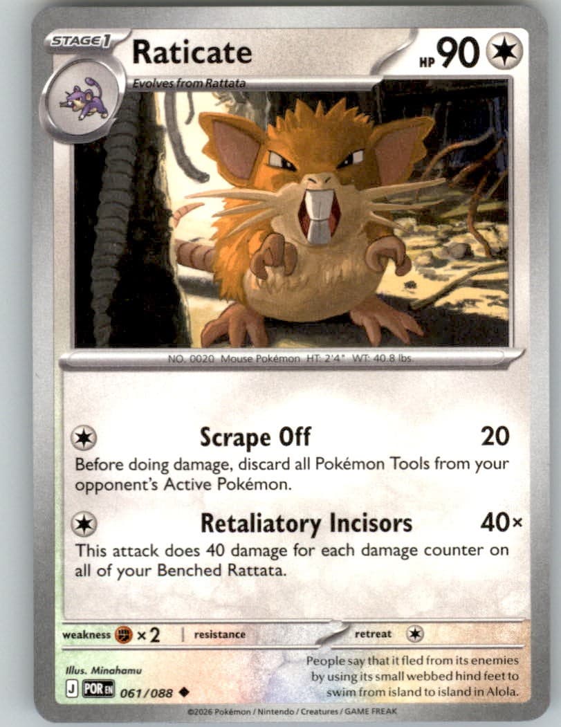 Pokemon Raticate Uncommon POR 061/088 NM