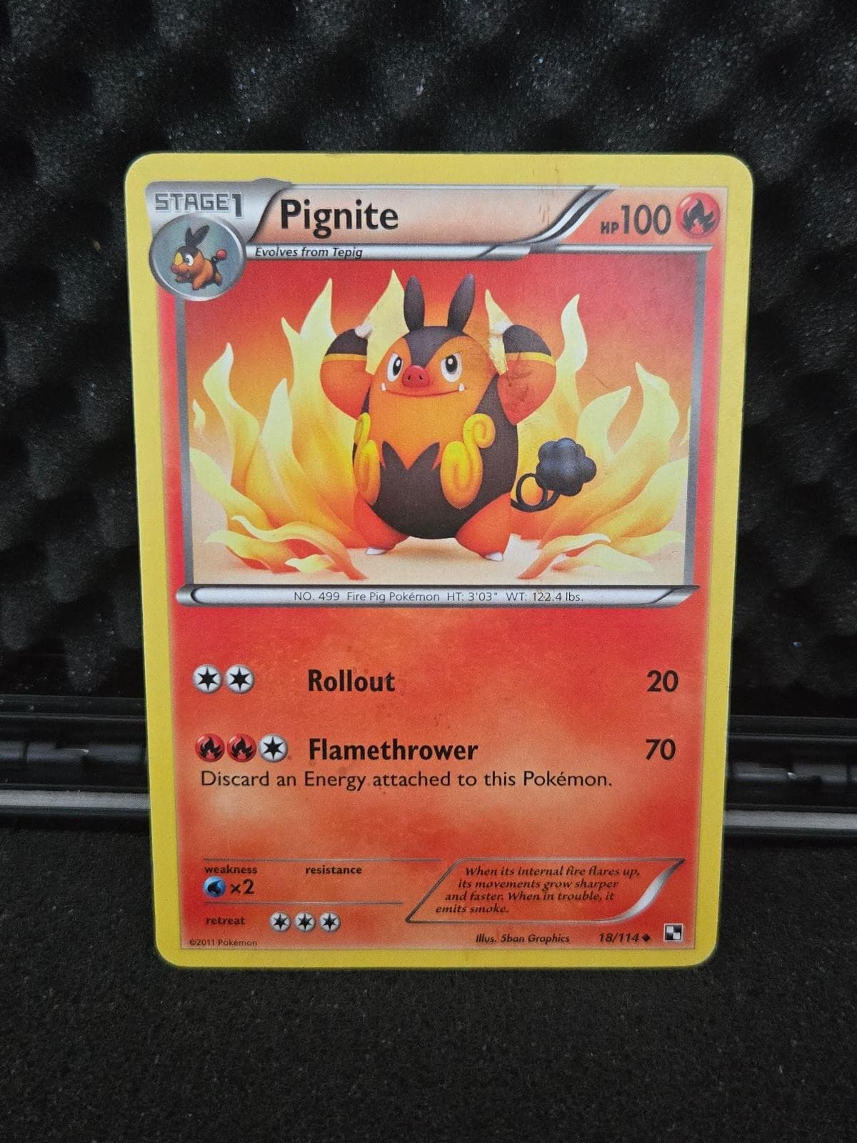Pignite 18/114 Uncommon Black & White Pokemon Lightly Played