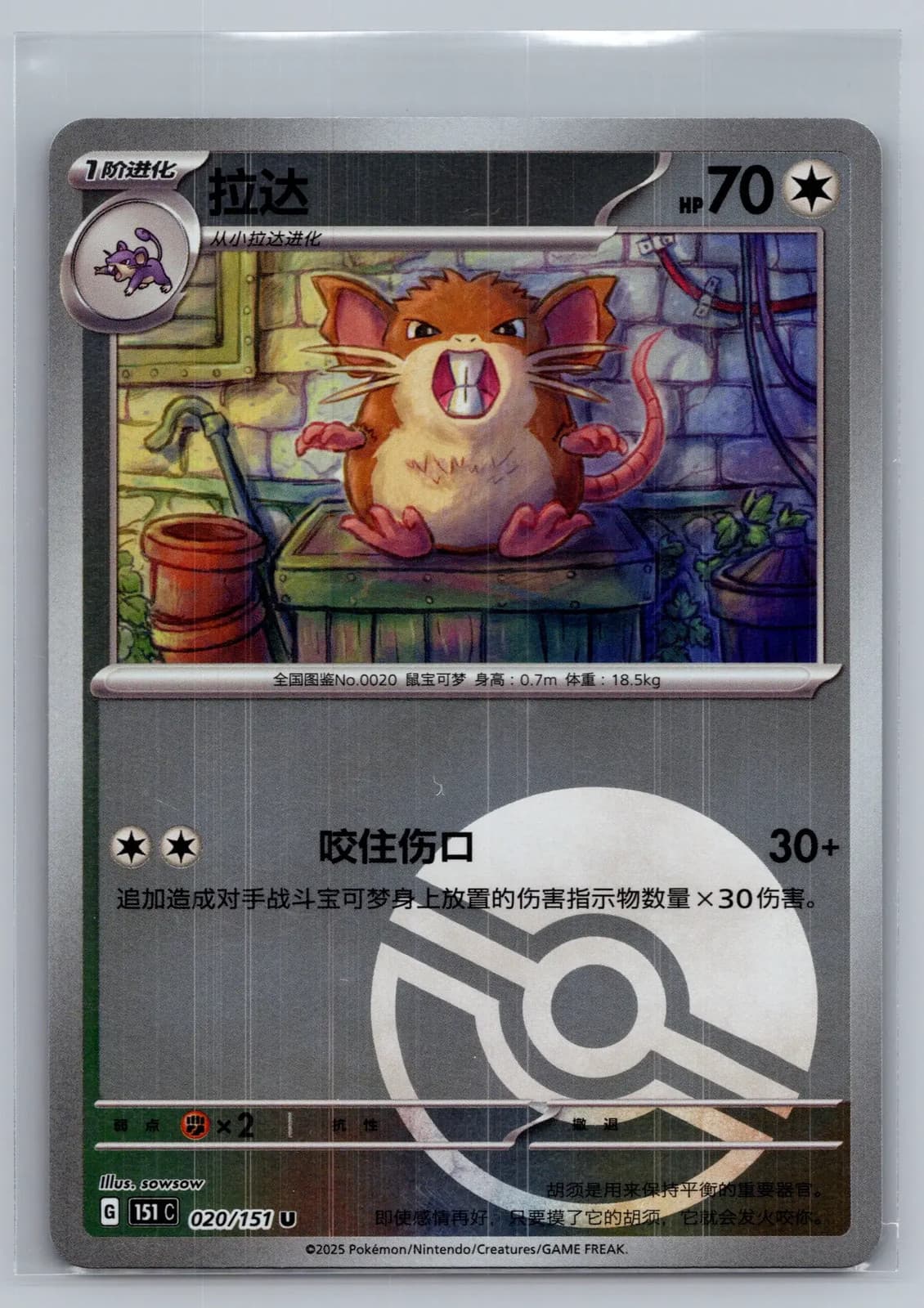 Raticate 20/151 Scarlet & Violet 151 Simplified Chinese Reverse Holo Pokemon NM
