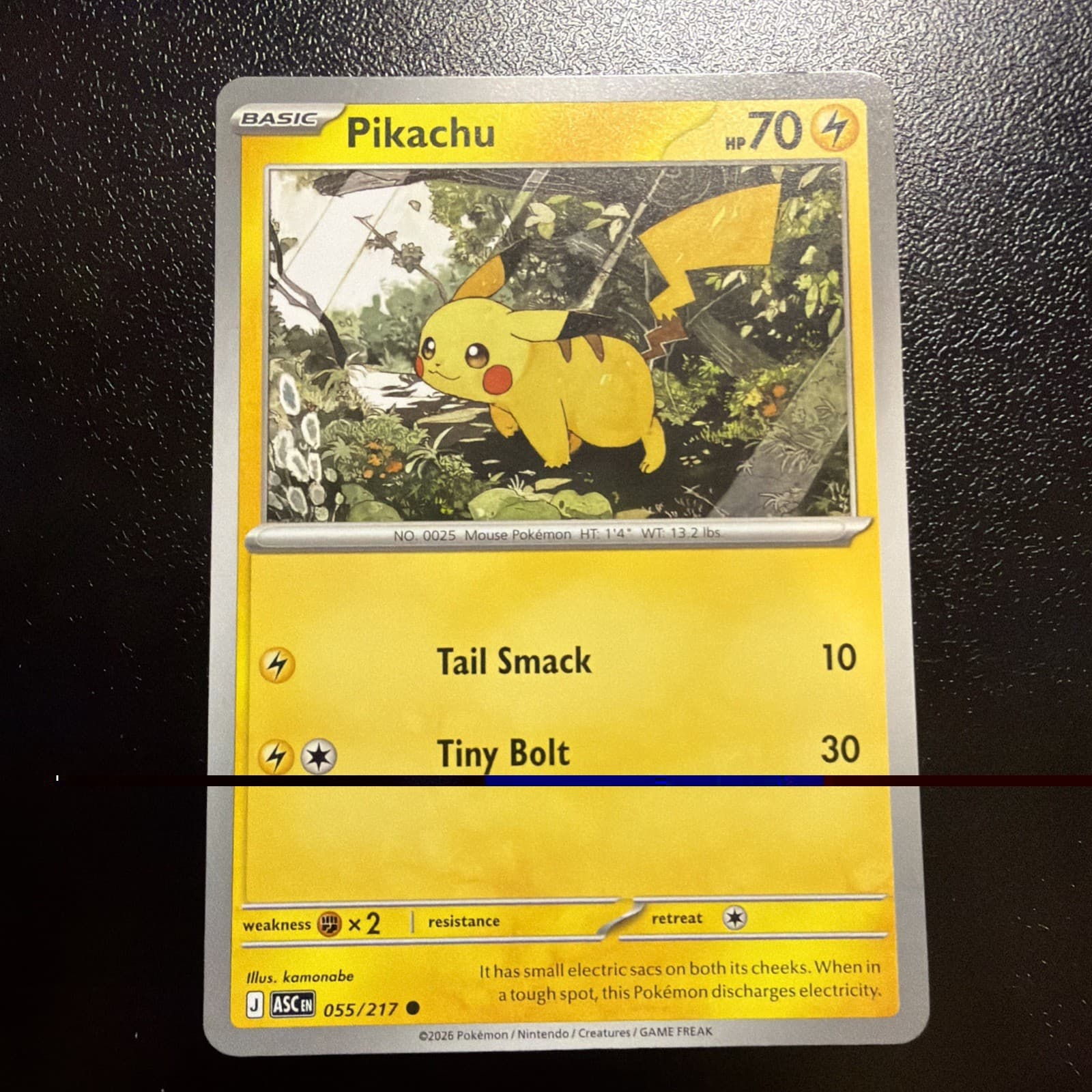 Pikachu 55/217 Common Pokemon Ascended Heroes NM