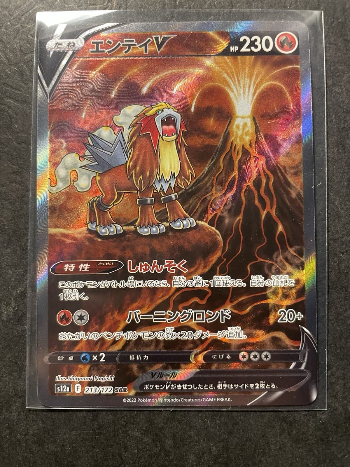 Pokemon Card TCG Entei V 213/172 SAR VSTAR Universe S12A Japanese NM