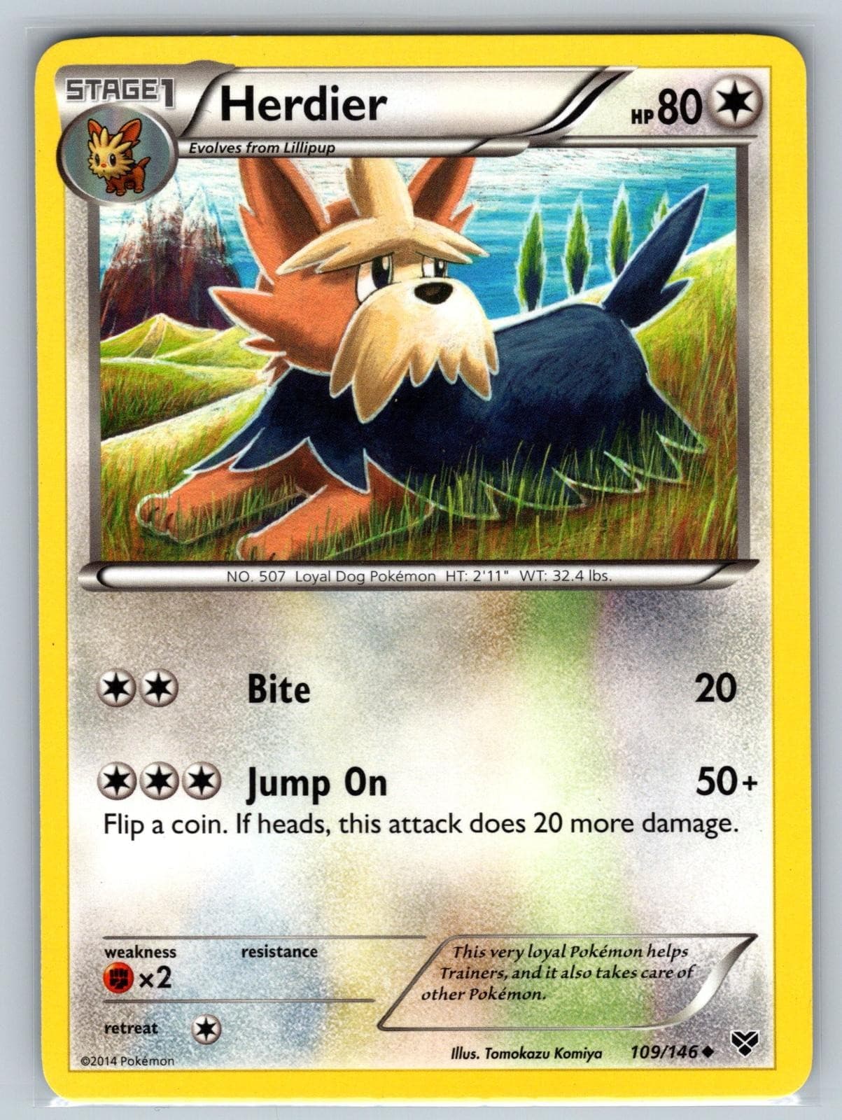 Herdier 109/146 Uncommon XY Base Set Pokemon Moderately Played