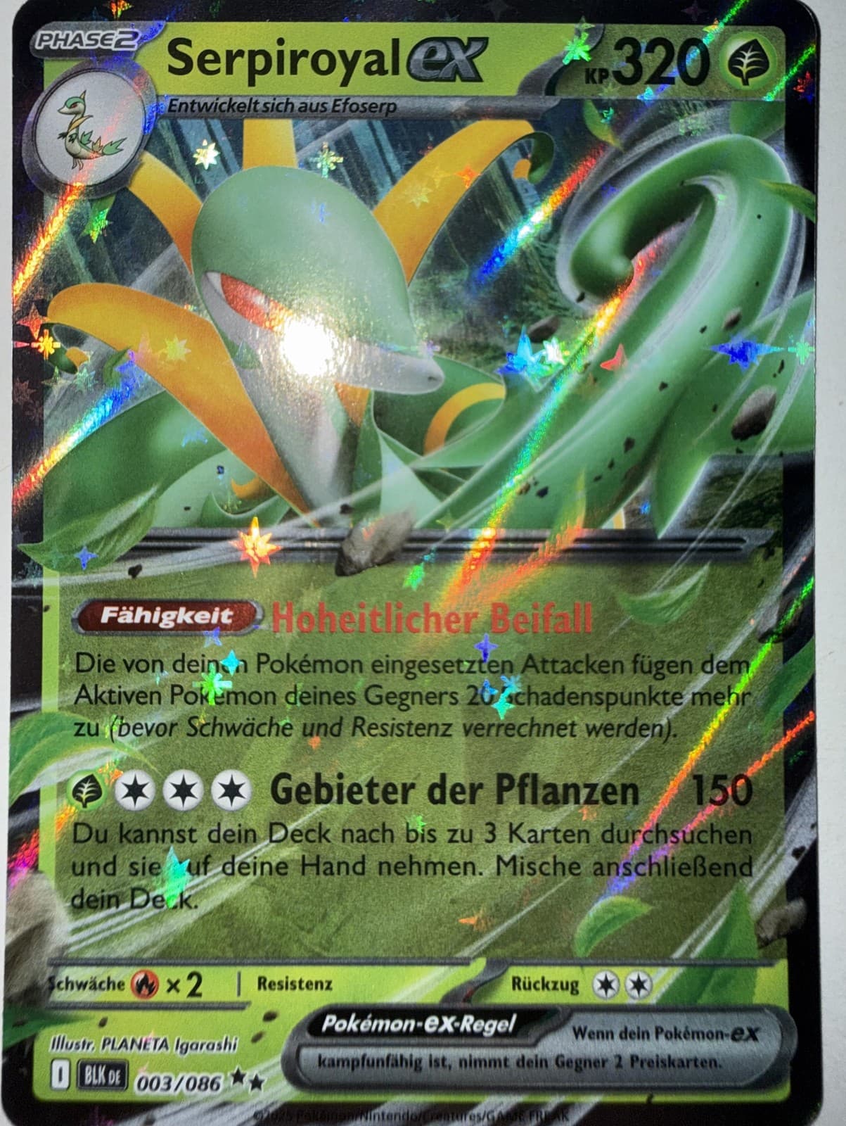 Pokemon - Serpiroyal ex - Schwarze Blitze - 003/086 - NM - Deutsch
