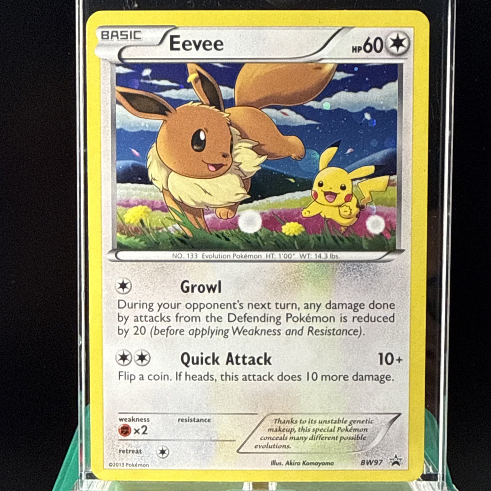 Eevee BW97 Black White Promos Holo Black Star Pokemon Card
