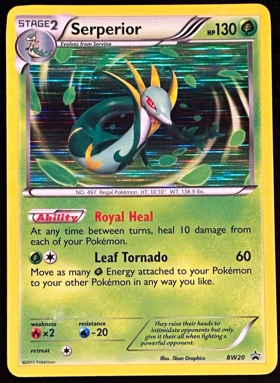 Serperior BW20 2011 Pokemon Black & White Black Star Promo Holo - LP