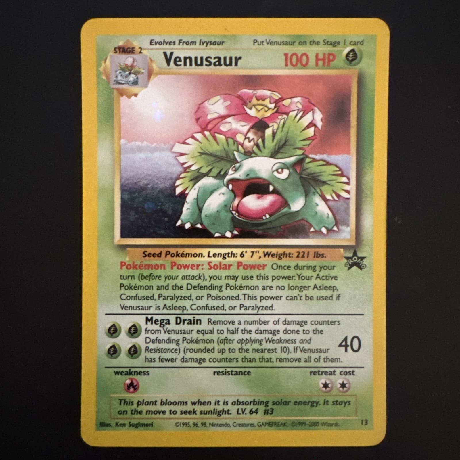 Pokemon 1999 Venusaur Black Star Promo 13 Holo WOTC Vintage NM