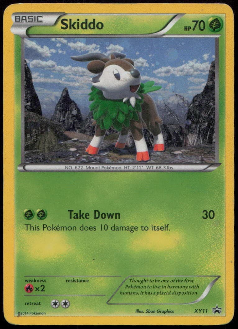 Skiddo XY11 HP XY Promo Holo Pokemon