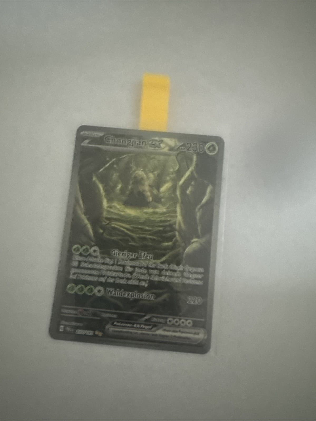 Chongjian EX Special Illustration Rare Pokémon TCG PAL 257/193
