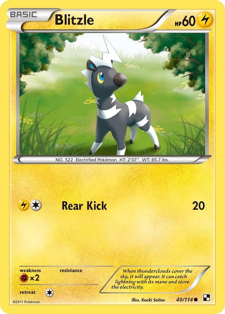 Blitzle (40) 40/114 Black and White Pokemon NM