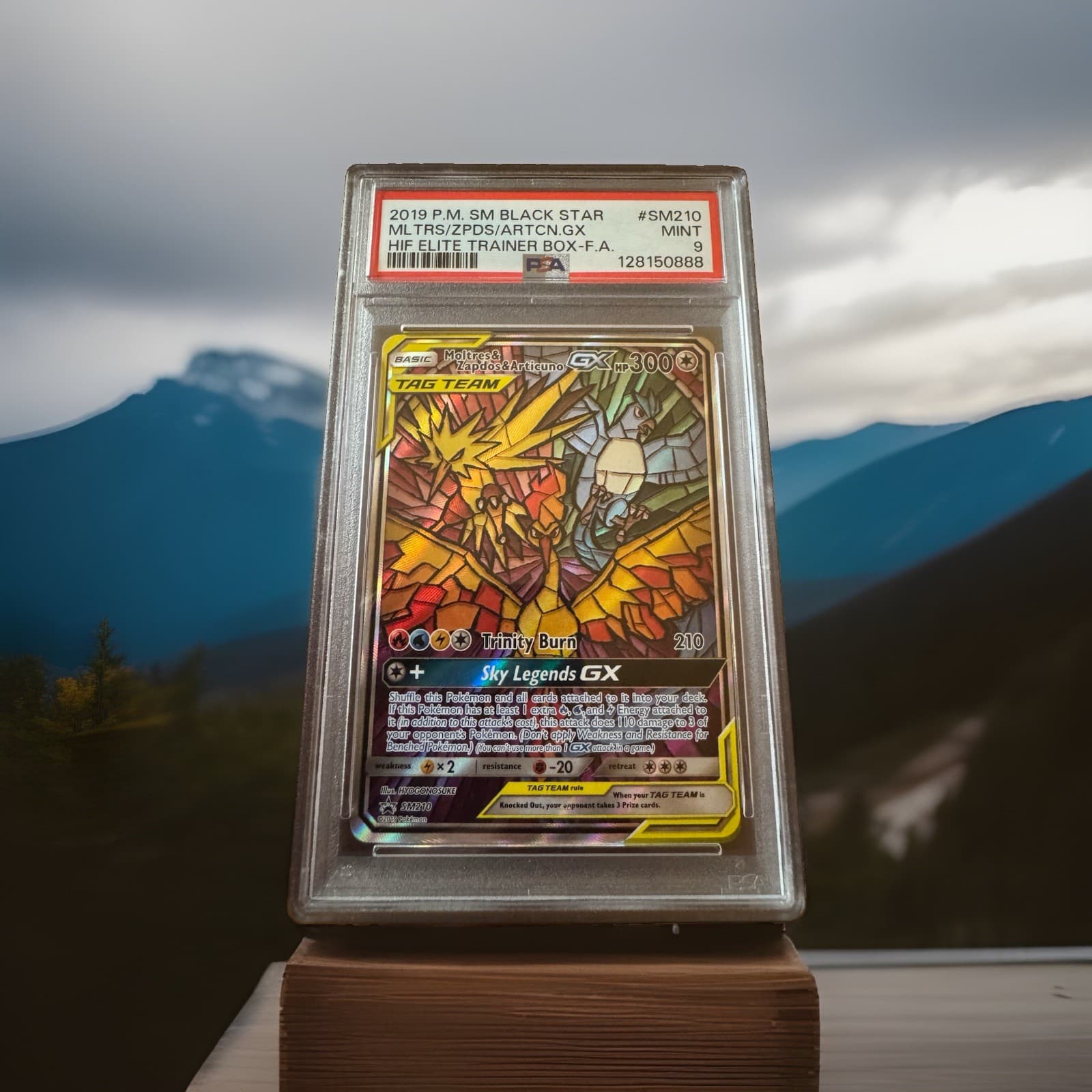 Pokemon 2019 Moltres & Zapdos & Articuno GX SM210 Sm Holo PSA 9