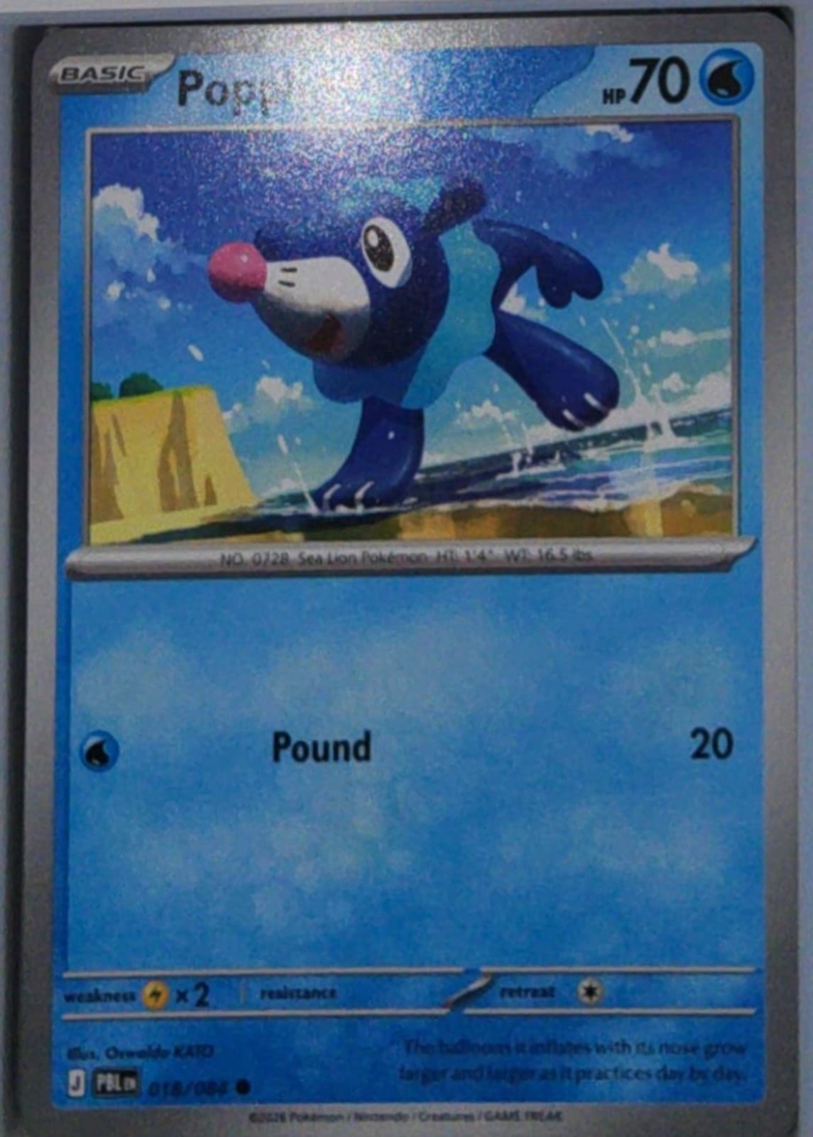 Popplio #18 Common Pitch Black Pokemon NM