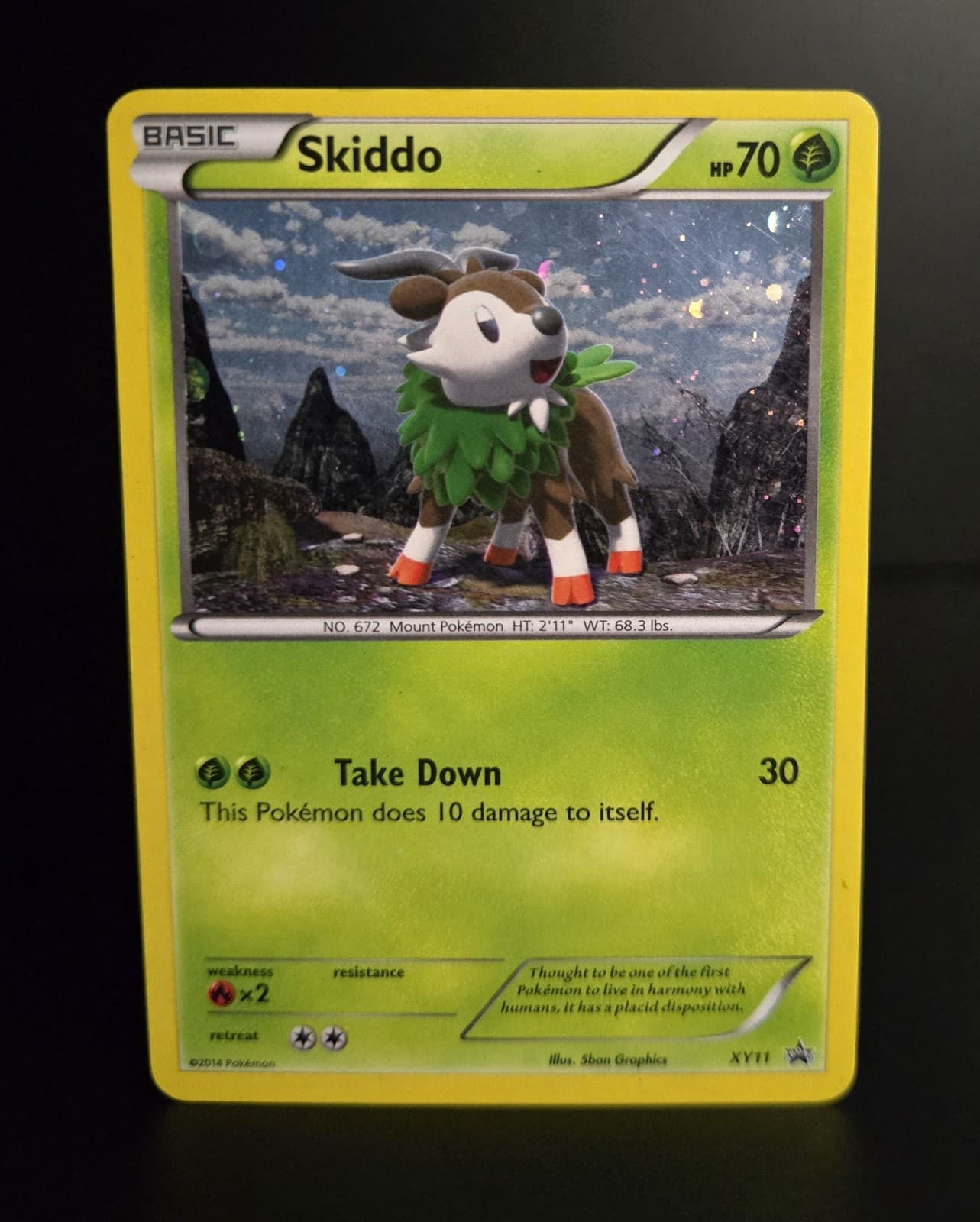 Pokémon TCG - SKIDDO - XY11 - COSMOS HOLO - BLACK STAR PROMO - XY (2014) - MP/LP