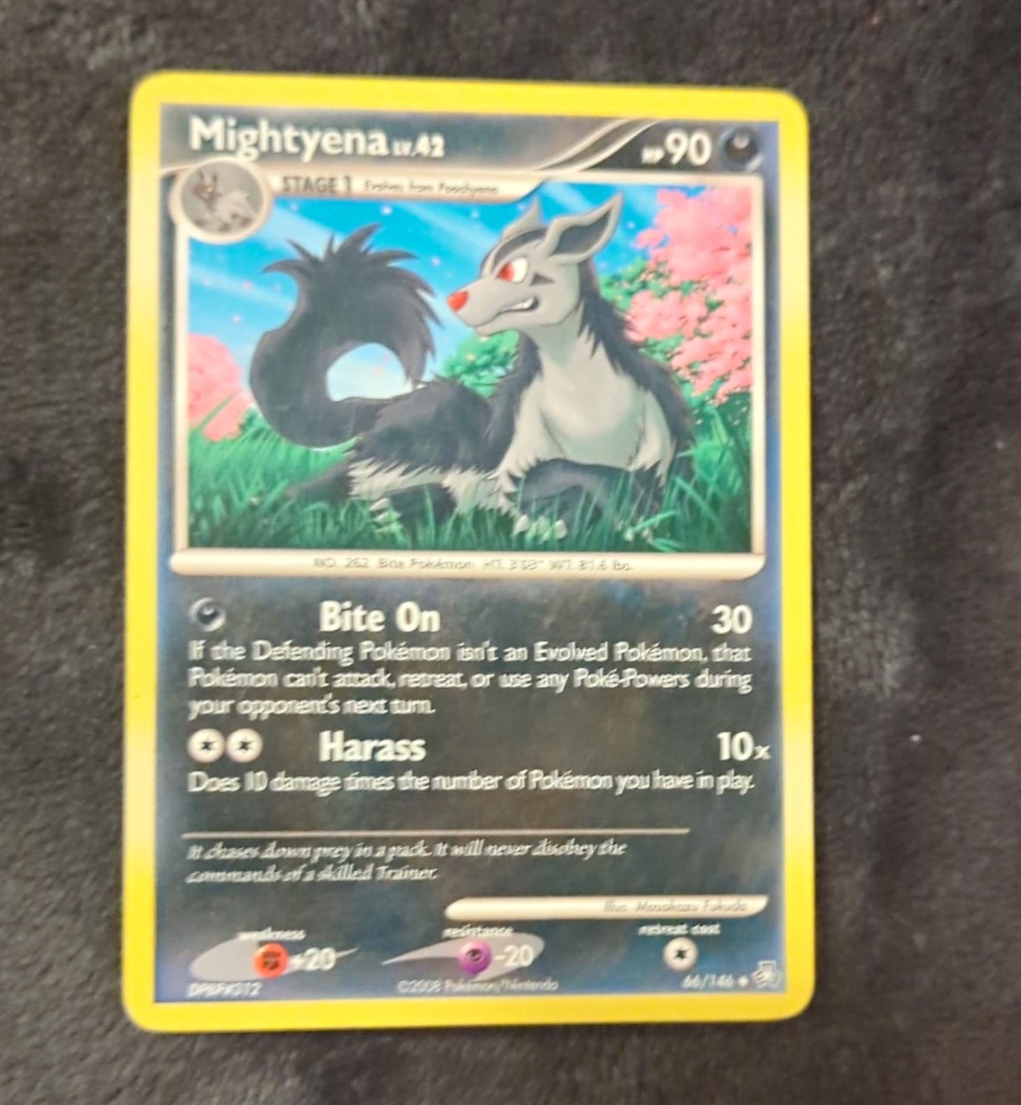 Nintendo Pokemon TCG Mightyena Legends Awakened 66/146 2008 Uncommon EN 90HP