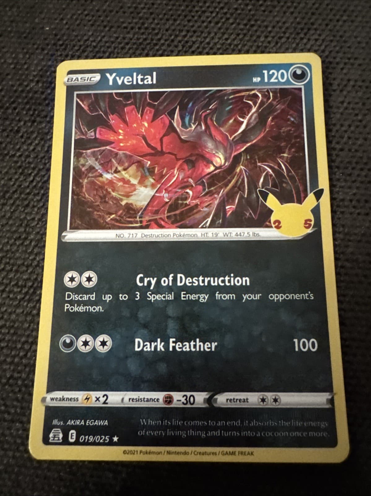 Yveltal  19/25 Celebrations Holo Rare Pokemon Card TCG Pokémon 019/025