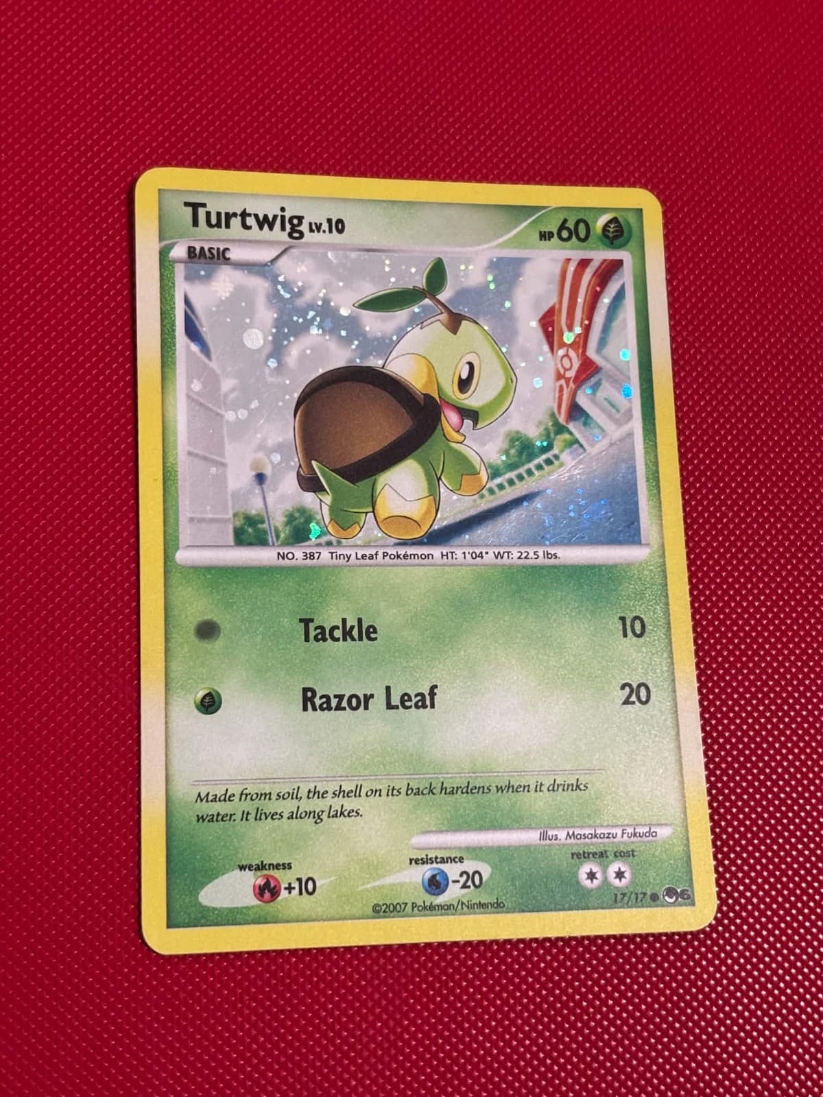 POKEMON! Turtwig - POP Series 6 17/17 - Holofoil Common - LP SWIRL 🌀